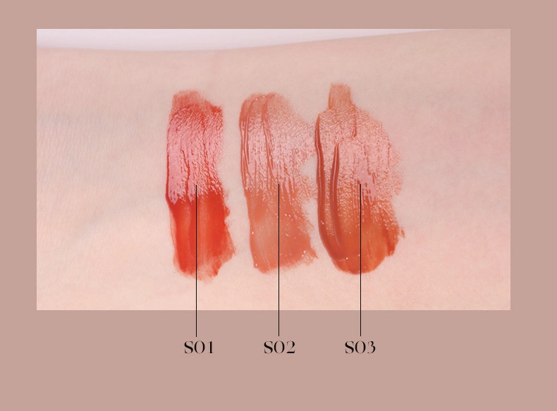 The New Matte Mirror Surface Is Not Stained with Cup and The Student Girl′ S Misty Velvet Lip Paste